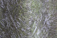 Boorley Green fibreglass roof work